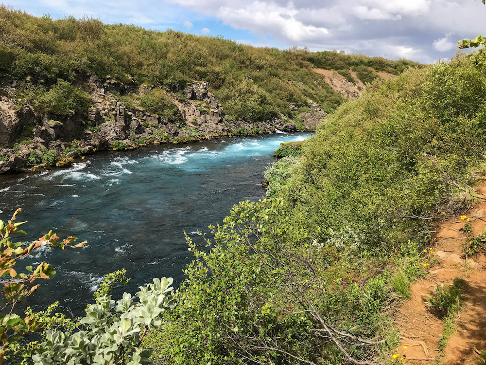 Fluss mit grünen Gestrüpp am Rand