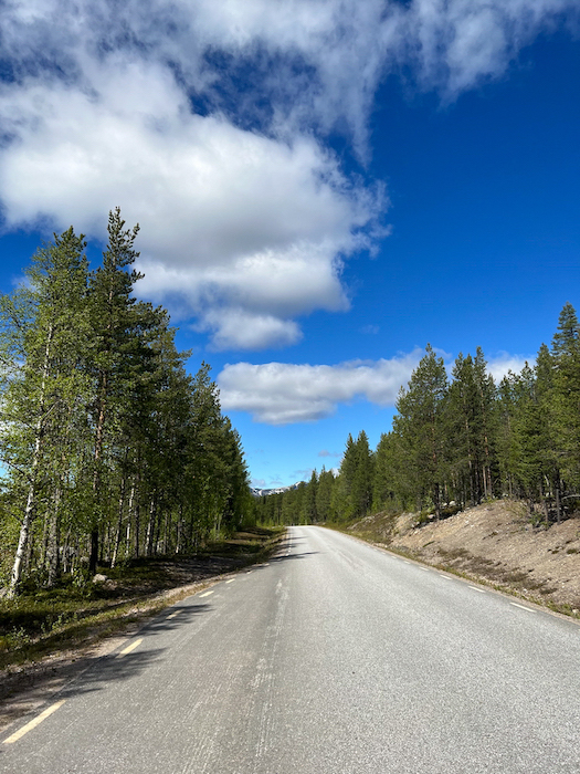 eine Strasse in Schwedisch Lappland