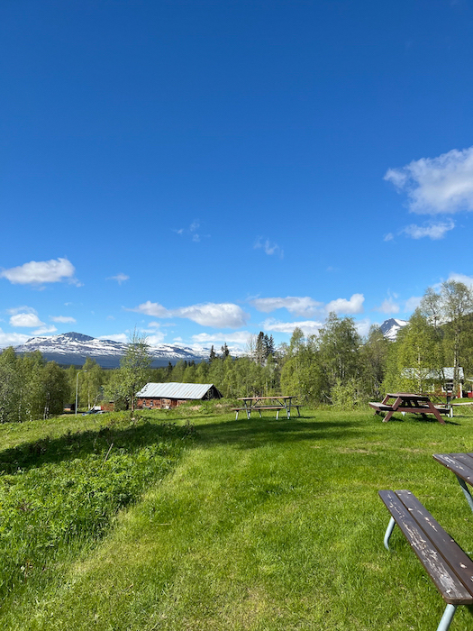 Kvikkjokk bei Sonnenschein, vorne Wiesen, Häuser, hinten schneebedeckte Berge