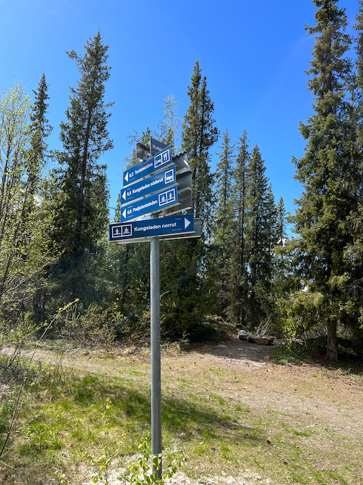 Wegweiser am Waldrand