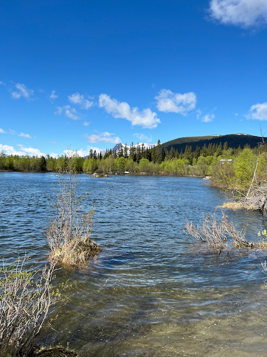 am Delta in Kvikkjokk