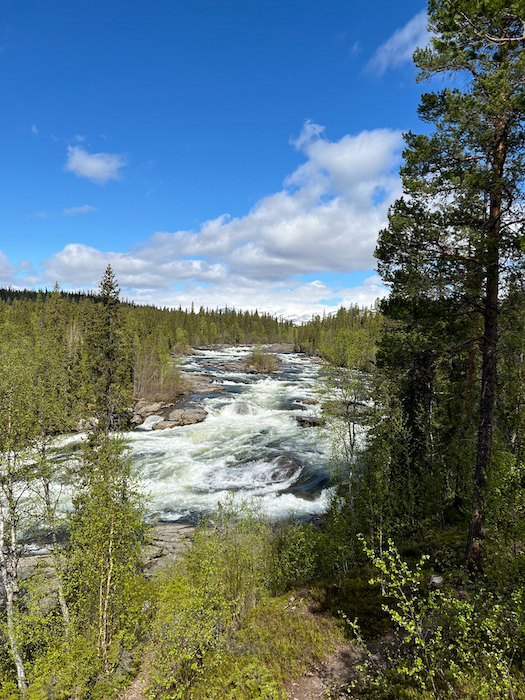 am Fluss in Kvikkjokk, viel Wald drumherum, das Wasser rauscht über große Steine