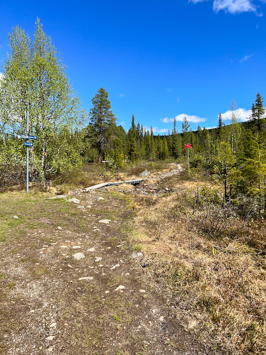 Holzbohlen am Waldboden und ein rotes Schild weisen den Wanderweg aus.