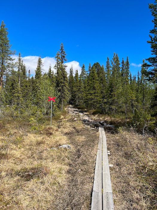 Holzbohlen am Waldboden und ein rotes Schild weisen den Wanderweg aus.