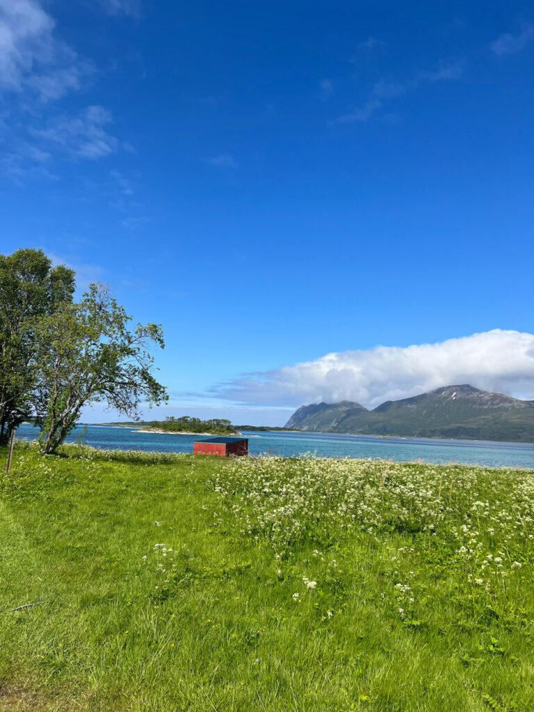 kleine rote Holzhütte im grünen Gras, vor türkisfarbenem Meer, ein Berg und blauer Himmel im Hintergrund