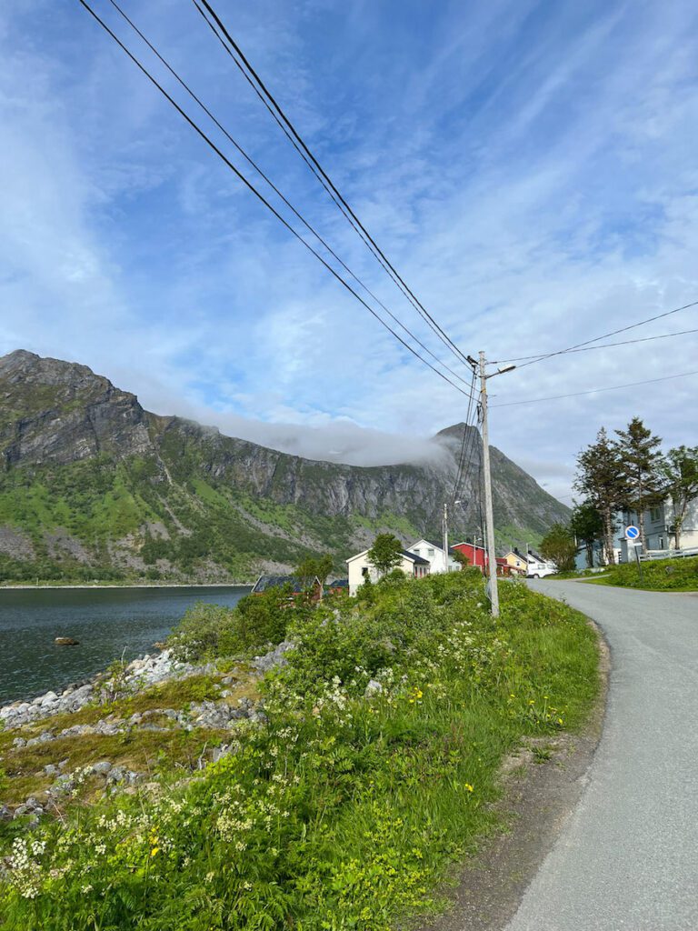 Strasse zu bunten Holzhäusern, am Fjord gelegen, Berge im Hintergrund