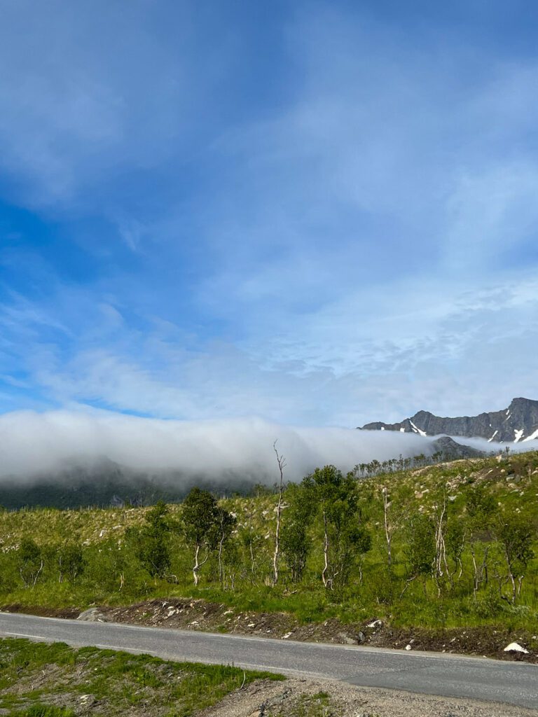 Wolken quillen über Wiese mit kleinen grünen Bäumen, dahinter sind Berggipfel zu sehen.