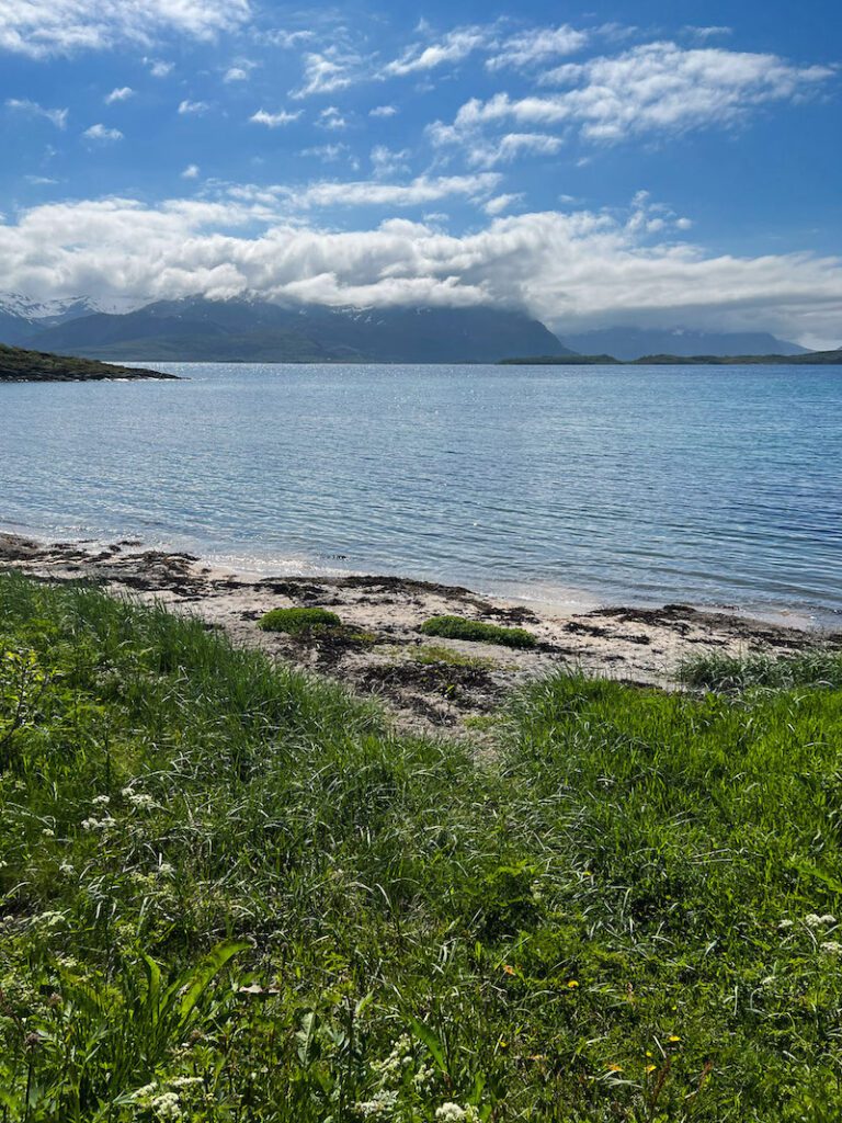 grüne Wiese und weisser Sand am Fjord mit Berggipfeln im Hintergrund