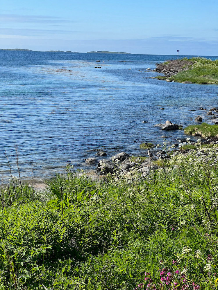 Steiniger Strand mit Wiese am Wasser