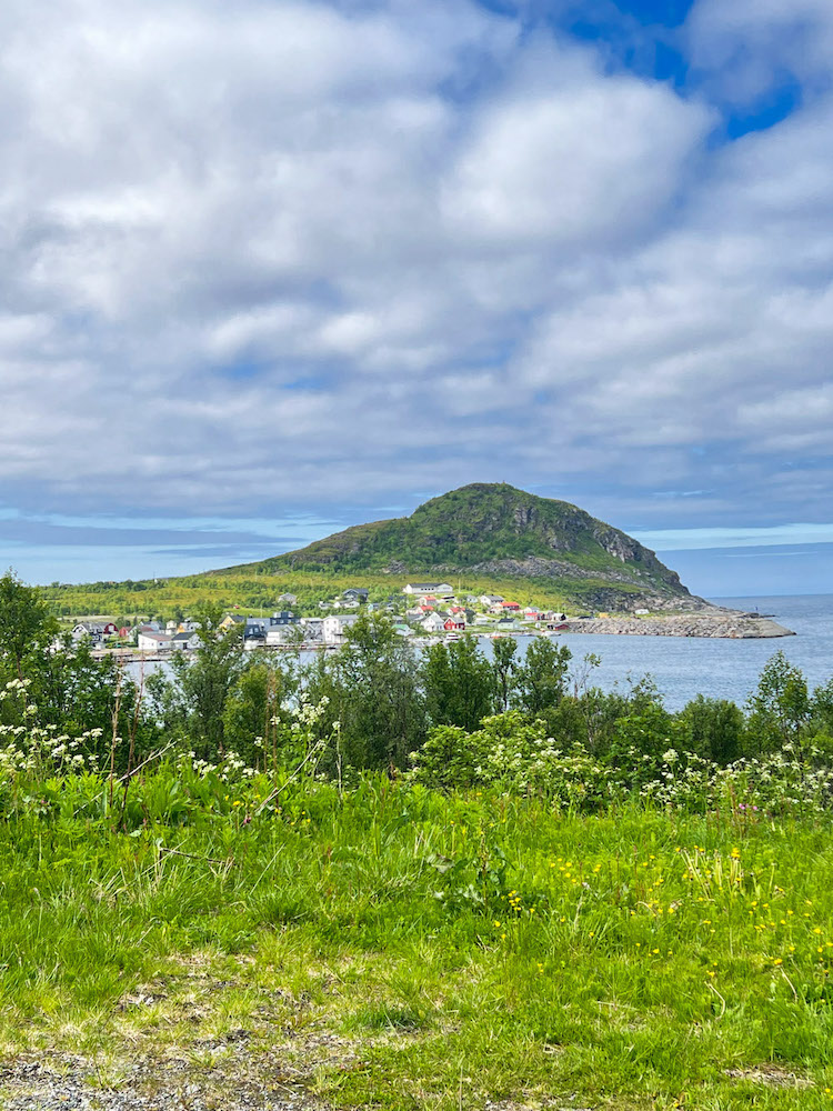 kleines Dort mit bunten Häusern im Hintergrund am Rand des Fjords, im Vordergrund eine Wiese vor dem Fjord