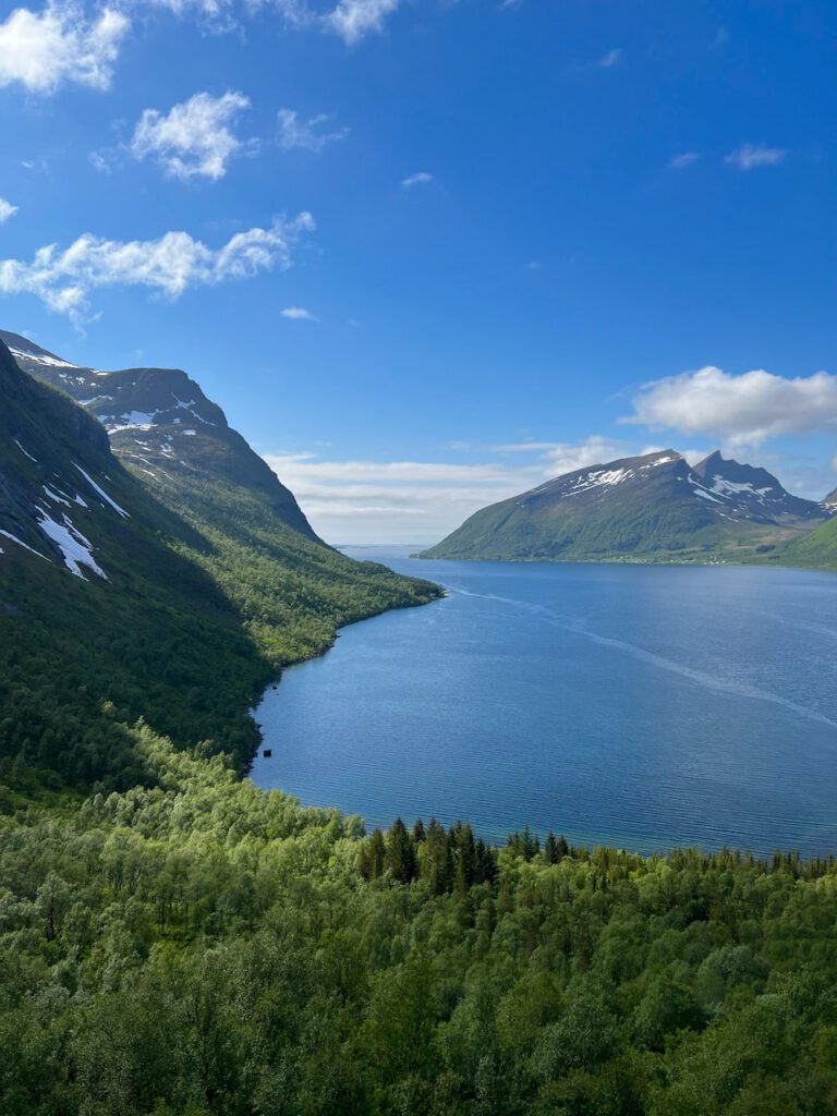 Ausblick auf den Fjord, links und rechts hohe Berge mit Schnee, vor dem Fjord viel Wald