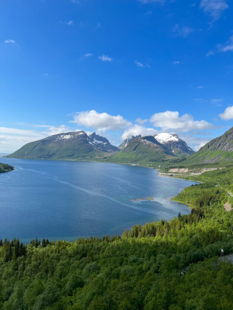 Ausblick auf den Fjord, links und rechts hohe Berge mit Schnee, vor dem Fjord viel Wald