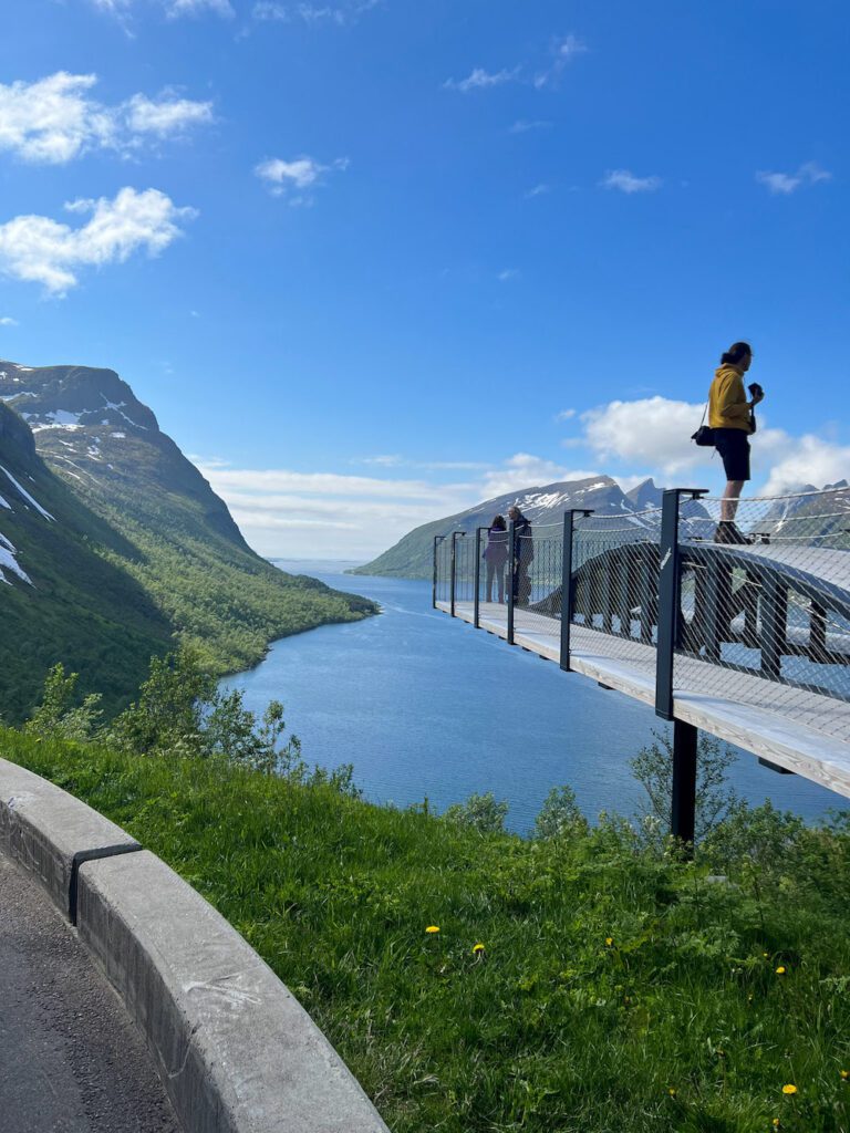 Frau auf Holzkonstruktion, die über den Wald ragt in den Fjord hinein, hohe Berggipfel im Hintergrund