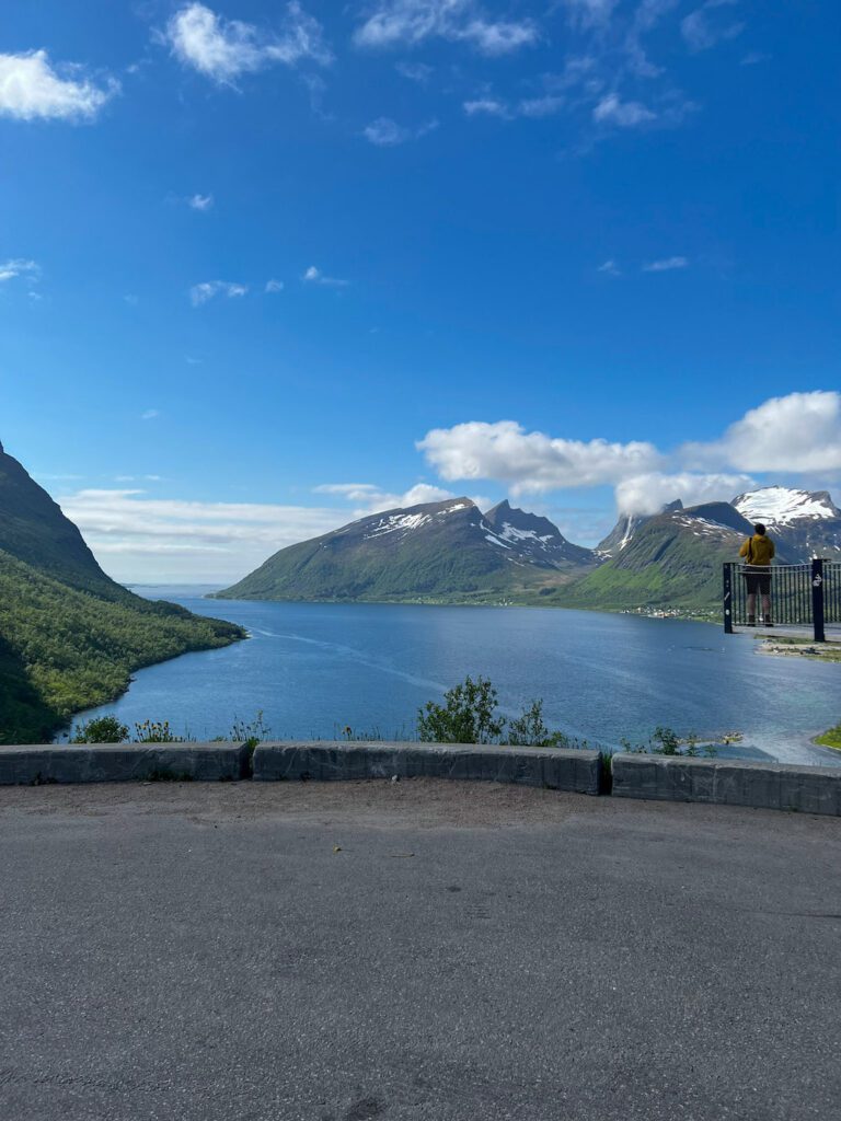 Frau auf Holzkonstruktion, die über den Wald ragt in den Fjord hinein, hohe Berggipfel im Hintergrund