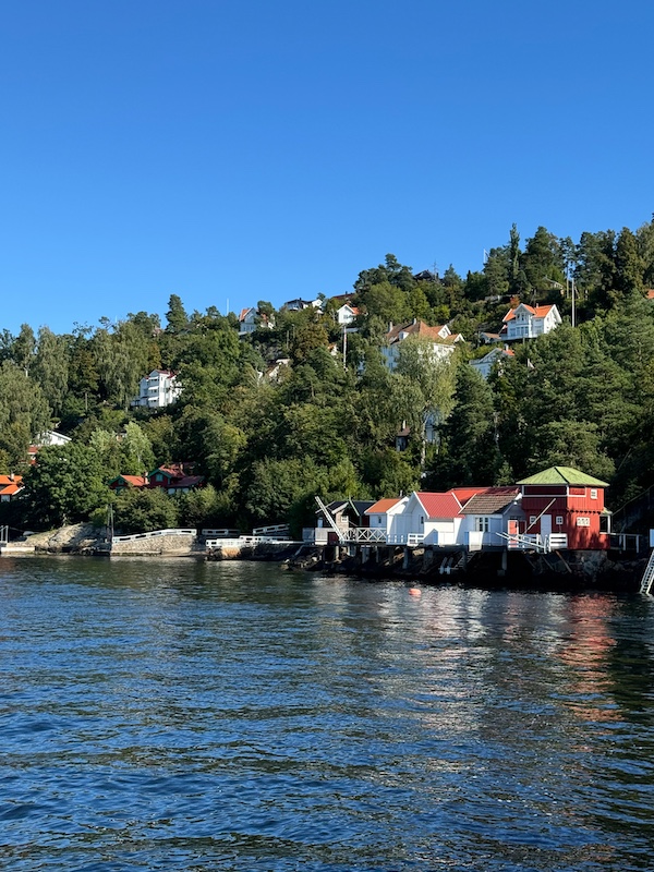 Häuser im Grünen am Rand der Insel vom Wasser aus fotografiert