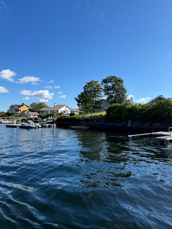 Häuser im Grünen am Rand der Insel vom Wasser aus fotografiert