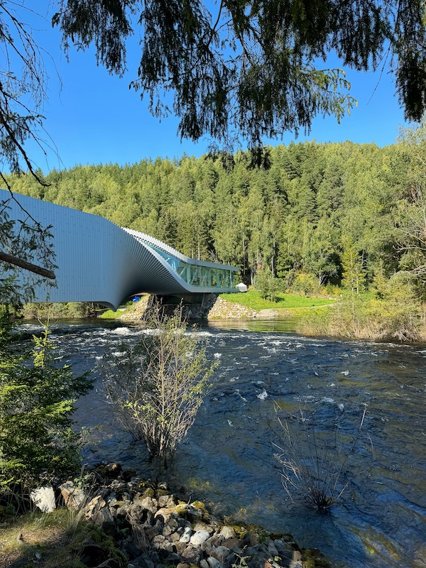 The Twist über den Fluss Randselva vor grünem Wald