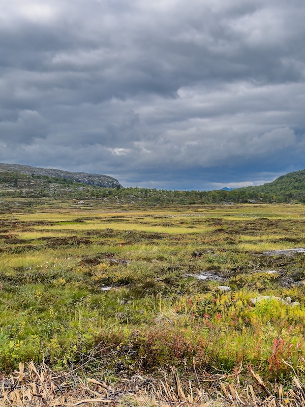 Landschaft der Finnmark