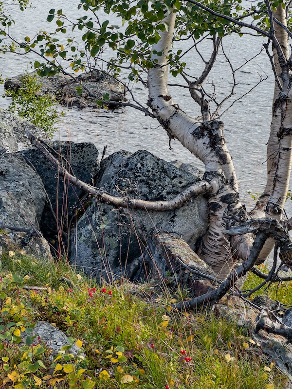 Landschaftliche Highlights
