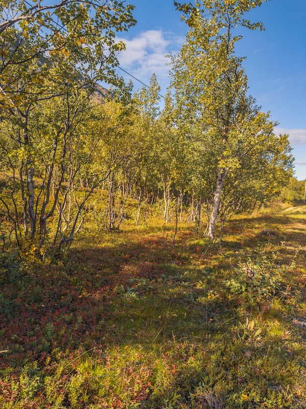 landschaftliche Highlights in Grense Jakobselv