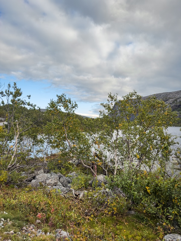 Norges eldste fjell - Norwegens ältester Berg